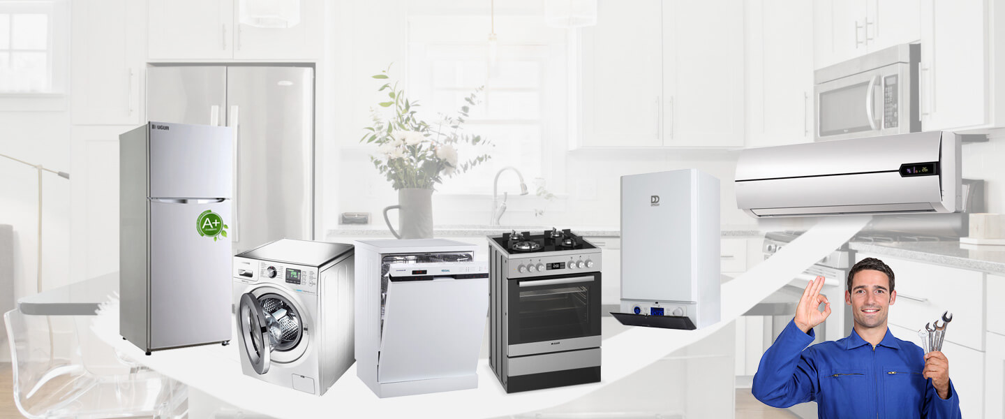 Bahçelerarası Philips Servisi